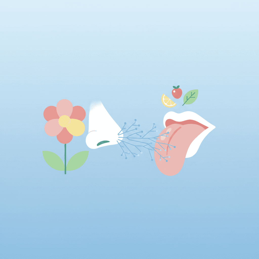 48 hours after quitting smoking — Senses Return